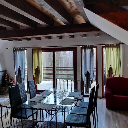 Vila Ines Sinaia Ngoại thất bức ảnh