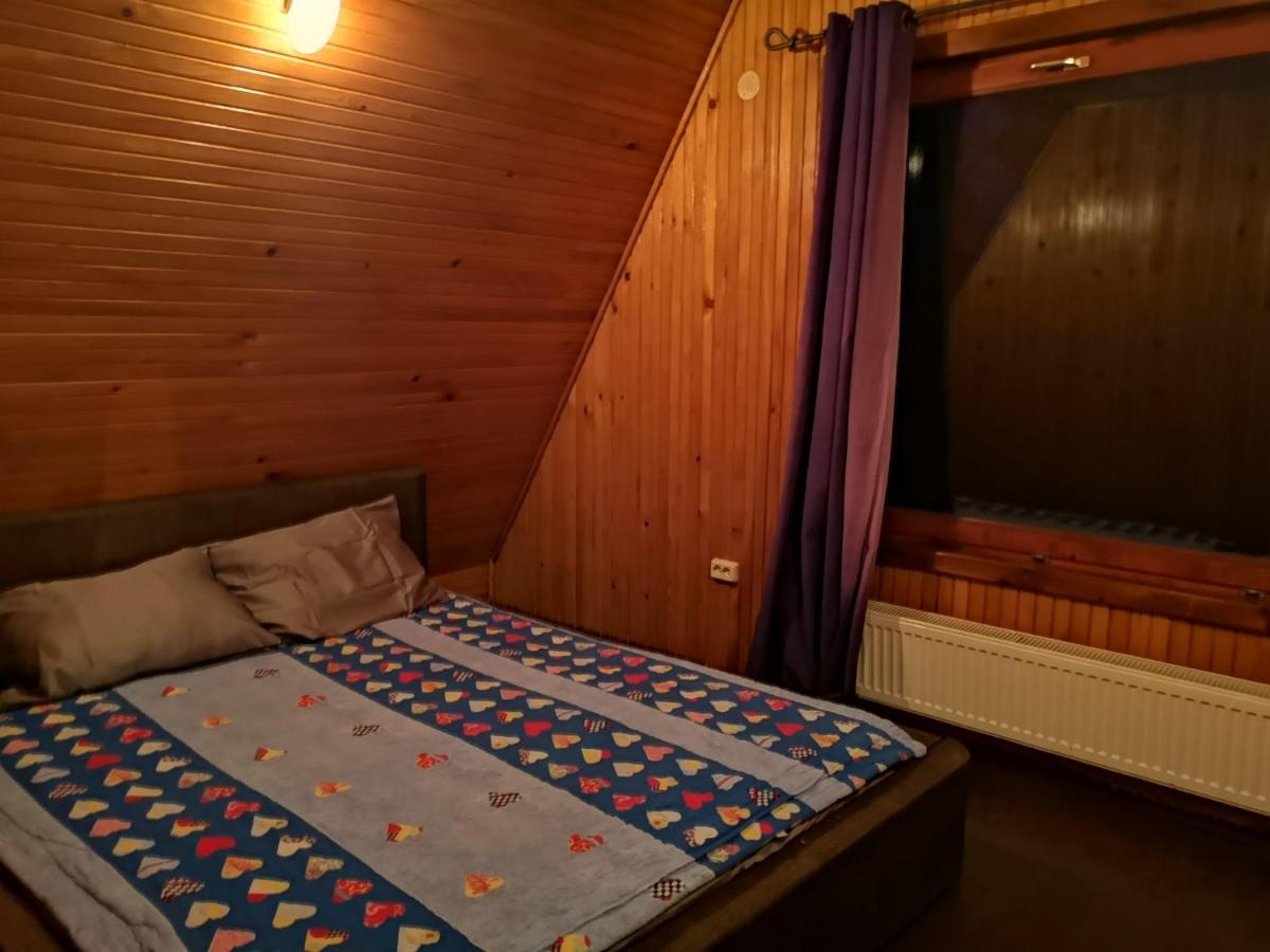 Vila Ines Sinaia Ngoại thất bức ảnh