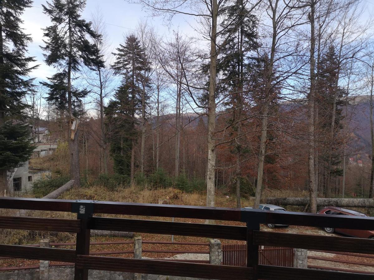 Vila Ines Sinaia Ngoại thất bức ảnh