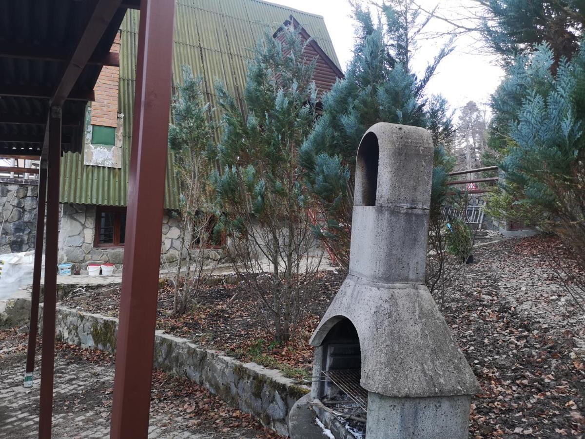Vila Ines Sinaia Ngoại thất bức ảnh