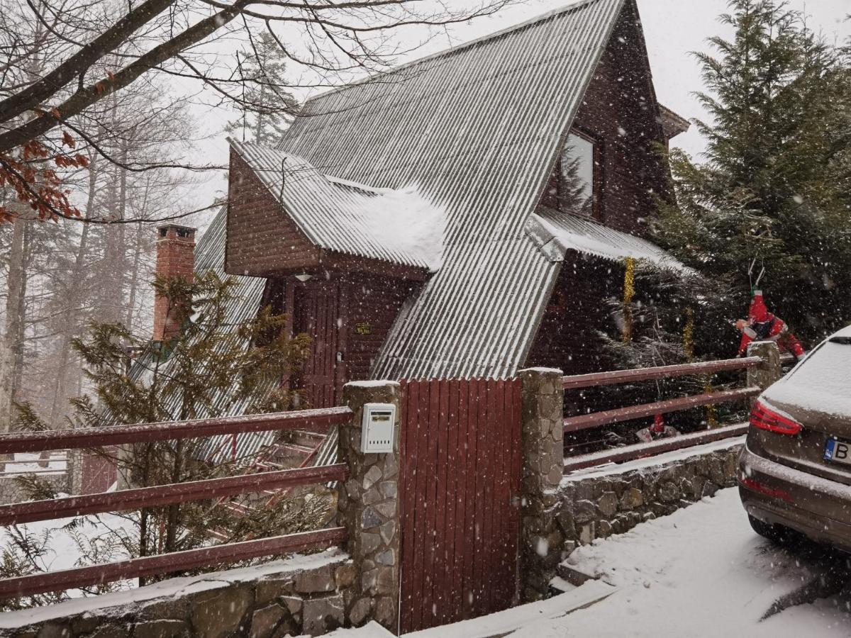 Vila Ines Sinaia Ngoại thất bức ảnh