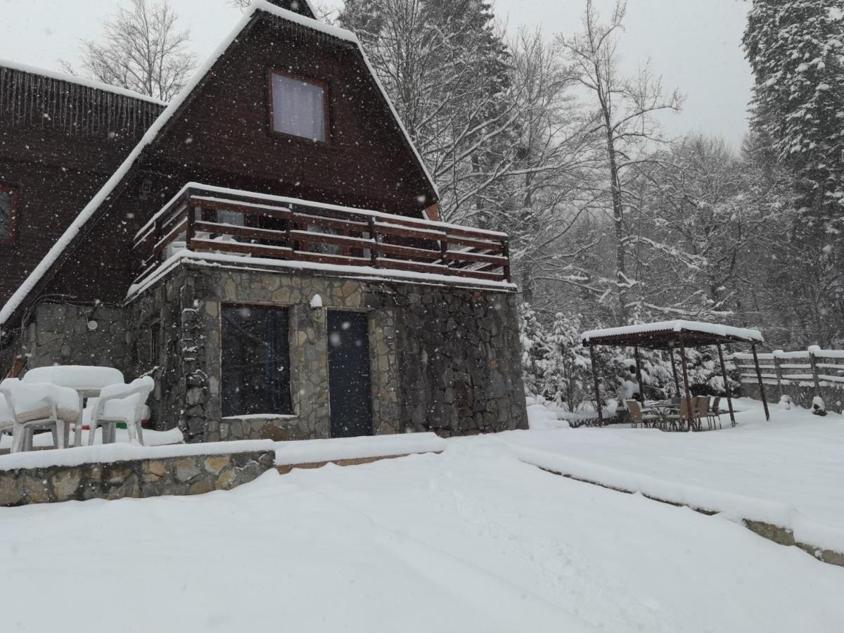 Vila Ines Sinaia Ngoại thất bức ảnh