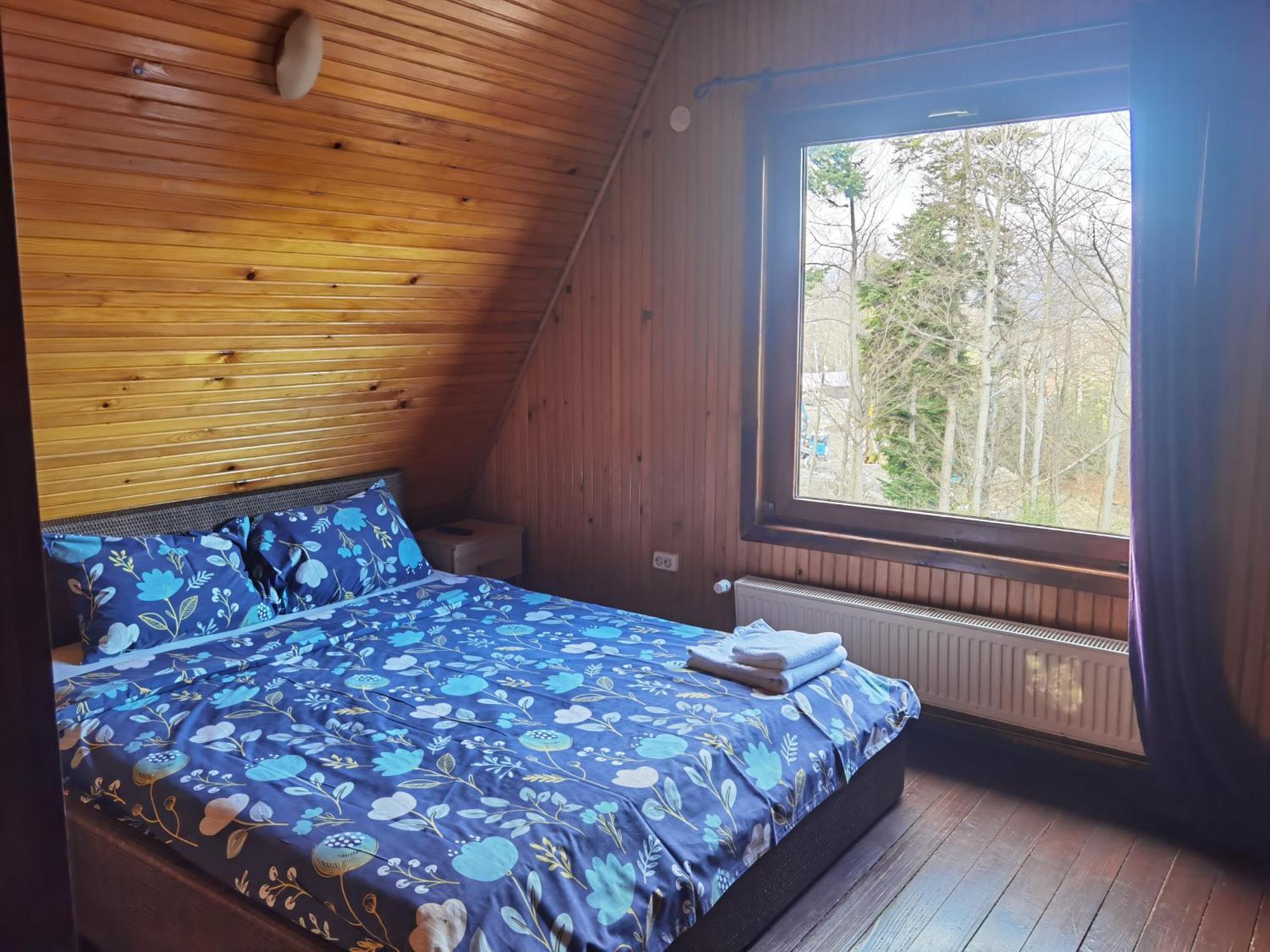 Vila Ines Sinaia Phòng bức ảnh