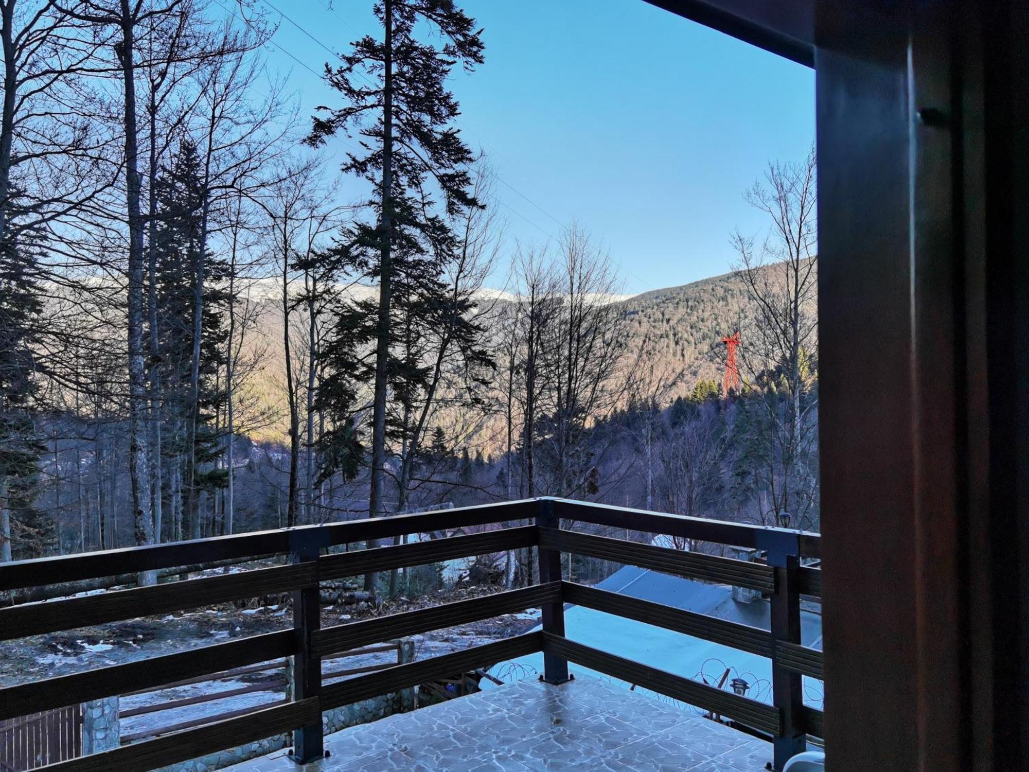Vila Ines Sinaia Phòng bức ảnh