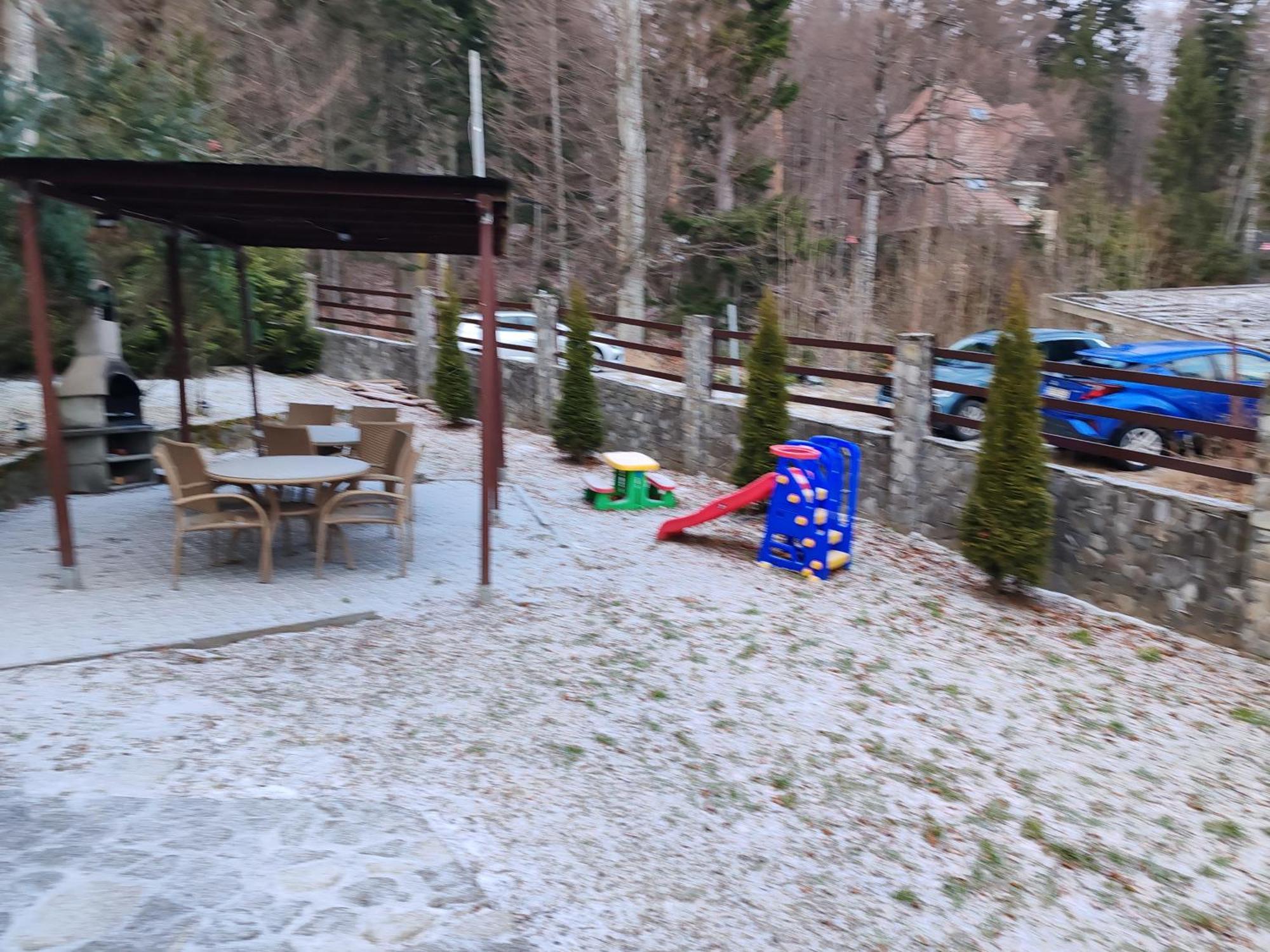 Vila Ines Sinaia Ngoại thất bức ảnh